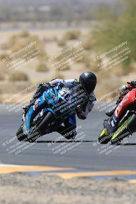 media/May-14-2023-SoCal Trackdays (Sun) [[024eb53b40]]/Turn 5 Tree of Life (1125am)/